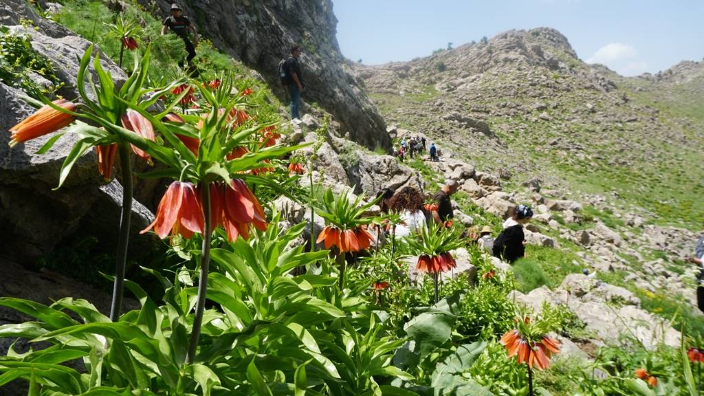 Halk arasında 'ağlayan gelin' olarak biliniyor. Görmek isteyenler kilometrelerce yol katediyor 2